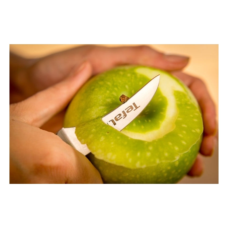 Tefal - Ruostumattomasta teräksestä valmistettu ICE FORCE 7 cm kaiverrusveitsi, kiiltävä kromi/musta