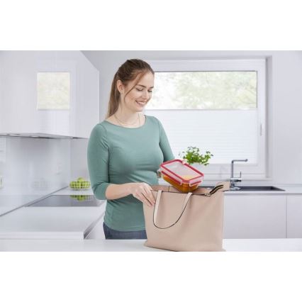 Tefal - Säilytysrasia 0,85 l MSEAL GLASS punainen/lasi