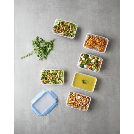 Tefal - Setti 6x ruokasäilytysrasia 0,8 l MASTER SEAL FRESH sininen