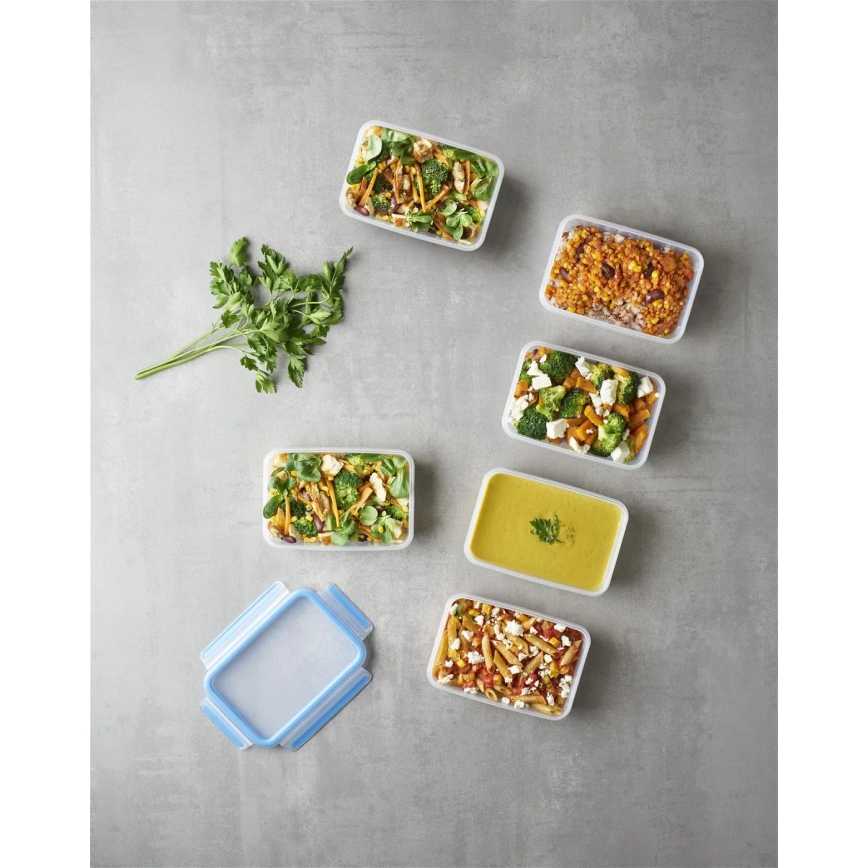 Tefal - Setti 6x ruokasäilytysrasia 0,8 l MASTER SEAL FRESH sininen