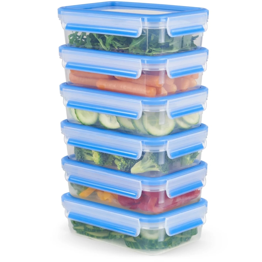 Tefal - Setti 6x ruokasäilytysrasia 0,8 l MASTER SEAL FRESH sininen