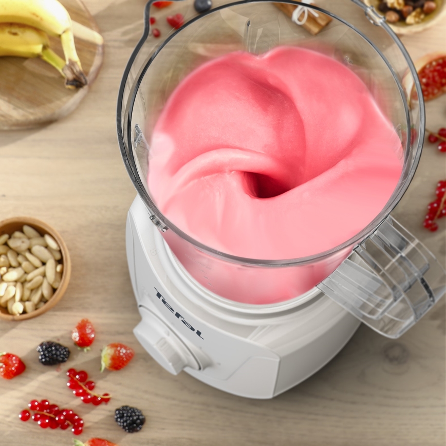 Tefal - Tehosekoitin ESSENTIAL 450W/230V