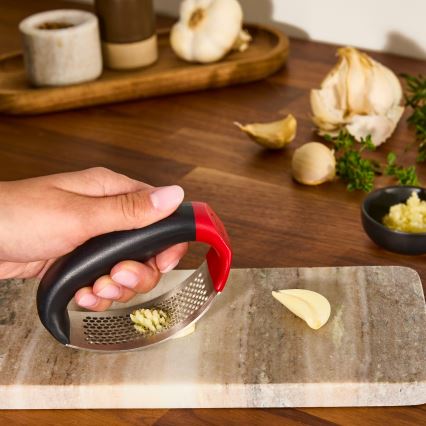 Tefal - Valkosipulipuristin INGENIO