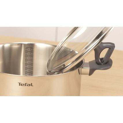 Tefal - Vuoka kannella DAILY COOK 20 cm
