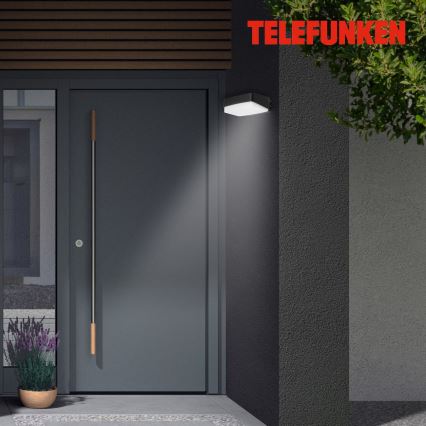Telefunken 312205TF - LED-ulkoseinävalaisin LED/14W/230V IP44