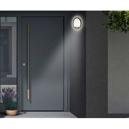 Telefunken 313705TF - LED ulkoseinävalaisin anturilla LED/15W/230V IP44