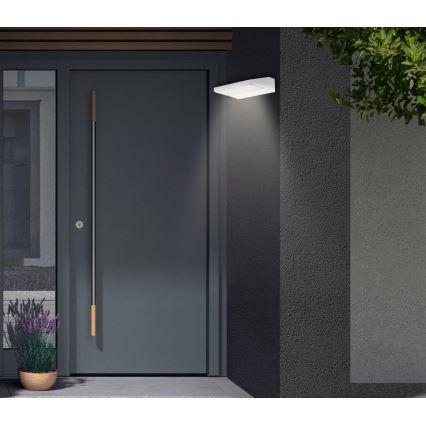 Telefunken - LED ulkoseinävalaisin LED/10W/230V IP44 valkoinen