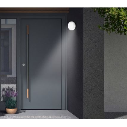 Telefunken - LED-ulkoseinävalaisin hämärä- ja liiketunnistimella LED/12W/230V IP44 valkoinen