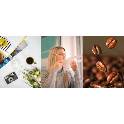 TESLA Electronics - Kahvinkeitin myllyllä 2in1 900W/230V