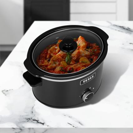 TESLA Electronics SlowCook - Haudutuskattila 3,5 l 200W/230V