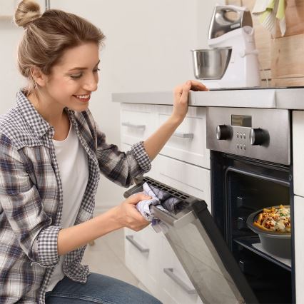 TESLA Electronics SlowCook - Haudutuskattila 3,5 l 200W/230V