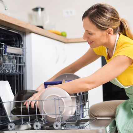 TESLA Electronics SlowCook - Haudutuskattila 3,5 l 200W/230V