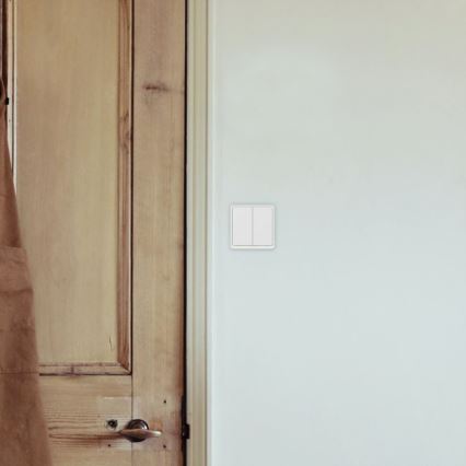 TESLA Smart - Älykäs kotikytkin 2P 230V Wi-Fi