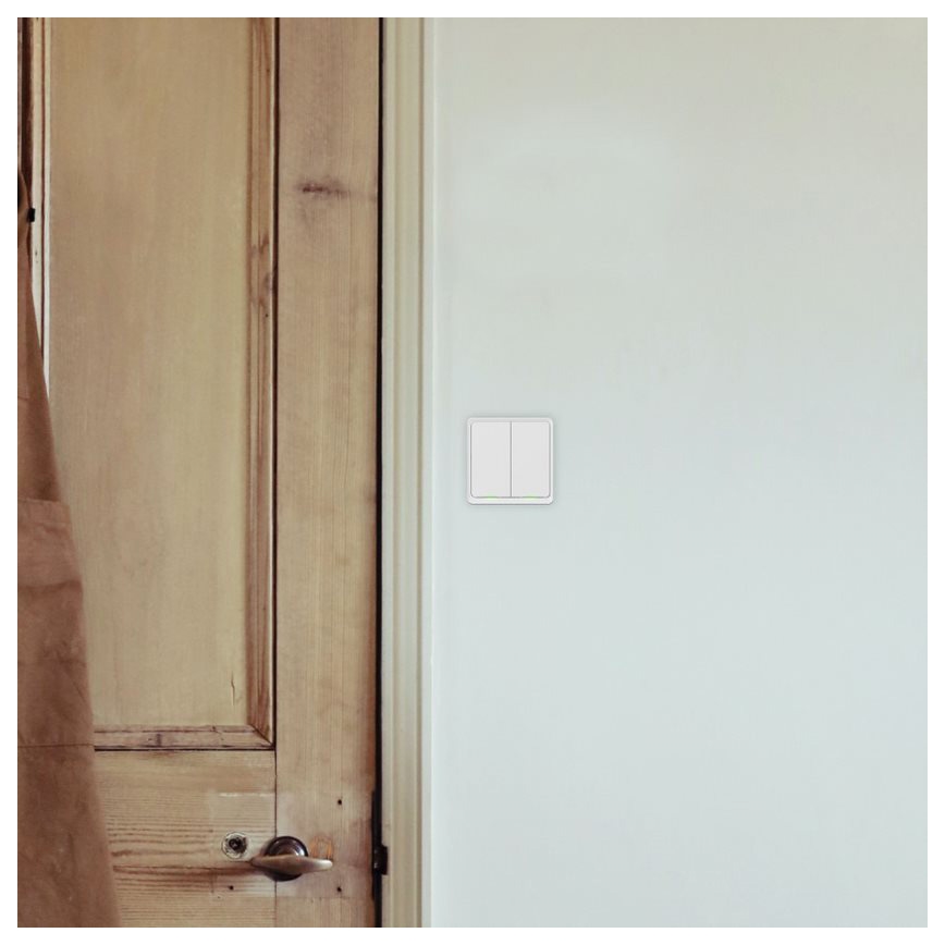 TESLA Smart - Älykäs kotikytkin 2P 230V Wi-Fi