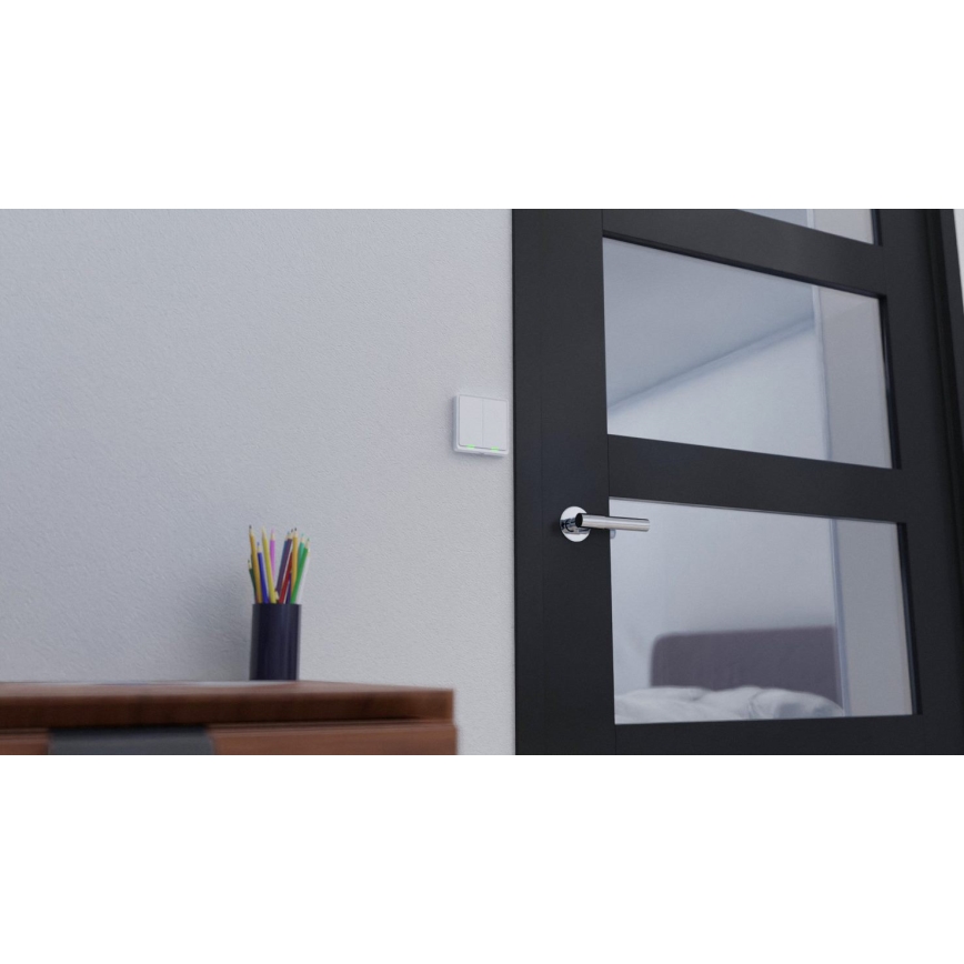 TESLA Smart - Älykäs kotikytkin 2P 230V Wi-Fi