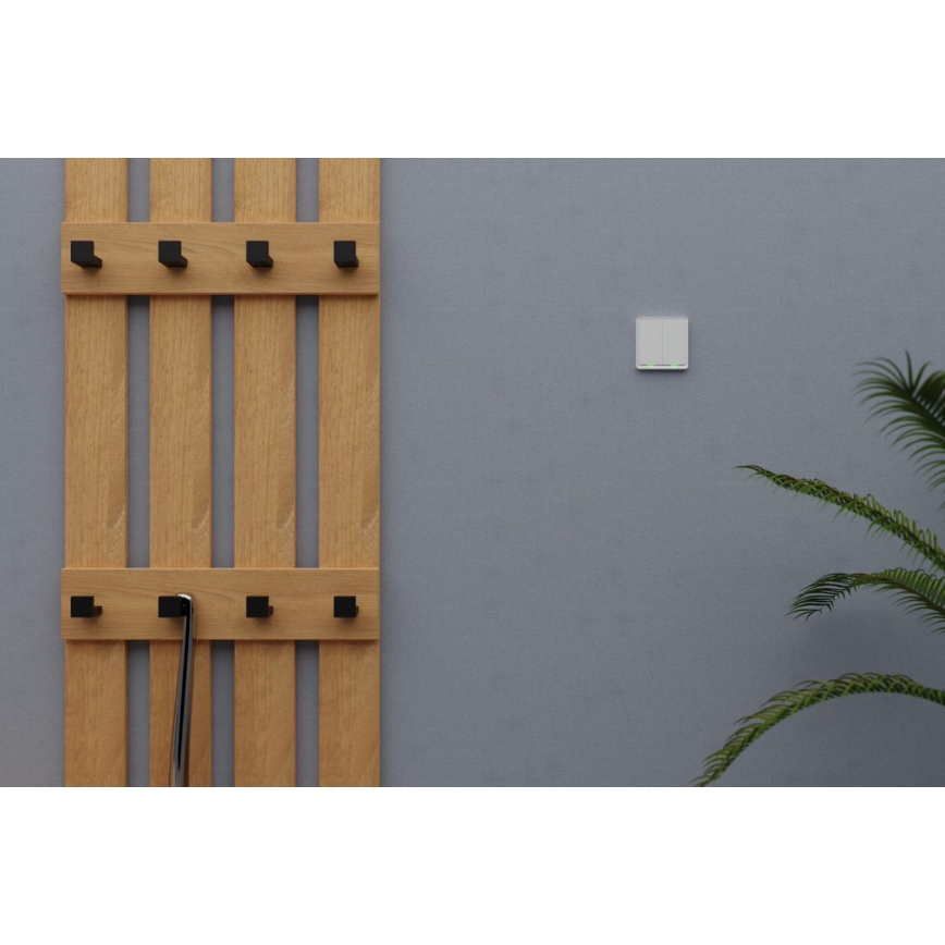 TESLA Smart - Älykäs kotikytkin 2P 230V Wi-Fi