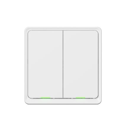 TESLA Smart - Älykäs kotikytkin 2P 230V Wi-Fi