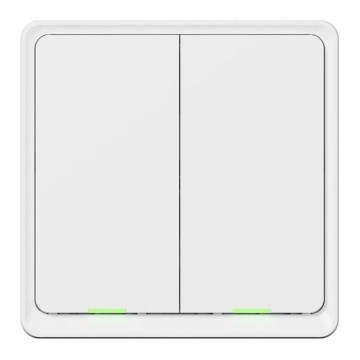 TESLA Smart - Älykäs kotikytkin 2P 230V Wi-Fi