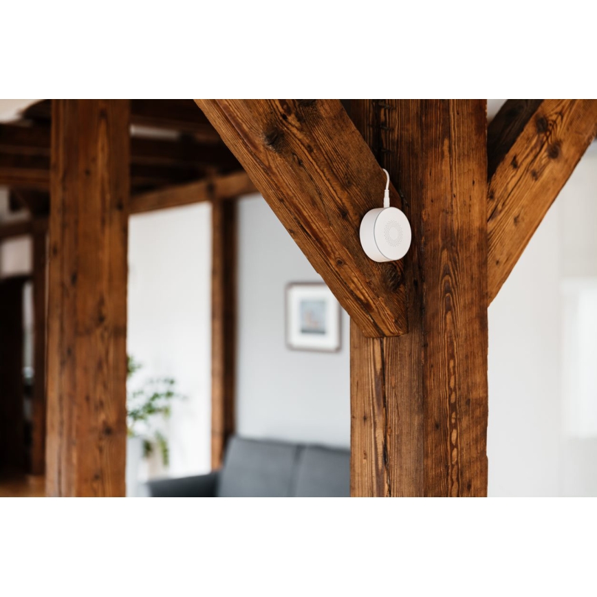 TESLA Smart - Älykäs sireeni 12V Zigbee