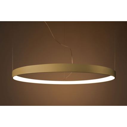 Thoro TH.216 - LED-kattokruunu johdossa RIO LED/30W/230V CRI 90 3000K halkaisija 55 cm kulta