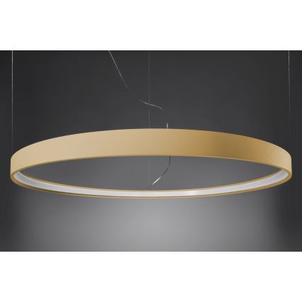 Thoro TH.217 - LED-kattokruunu johdossa RIO LED/30W/230V CRI95 4000K halkaisija 55 cm kulta