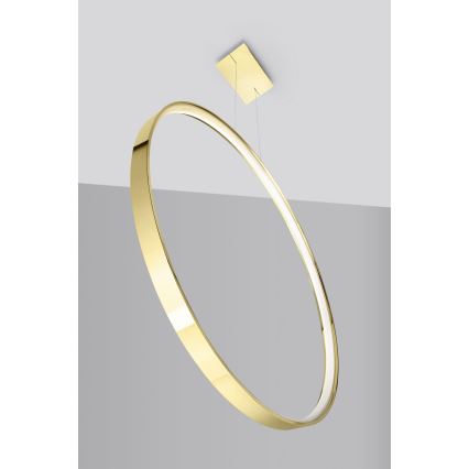 Thoro TH.248 - LED-kattokruunu johdossa RIO LED/50W/230V CRI 90 3000K halkaisija 78 cm kulta