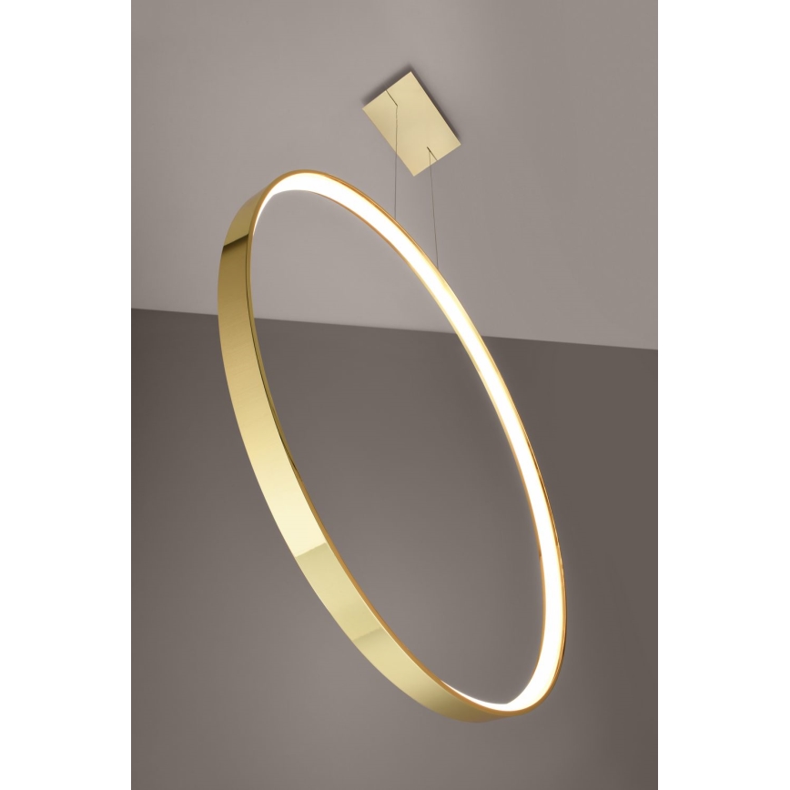 Thoro TH.248 - LED-kattokruunu johdossa RIO LED/50W/230V CRI 90 3000K halkaisija 78 cm kulta