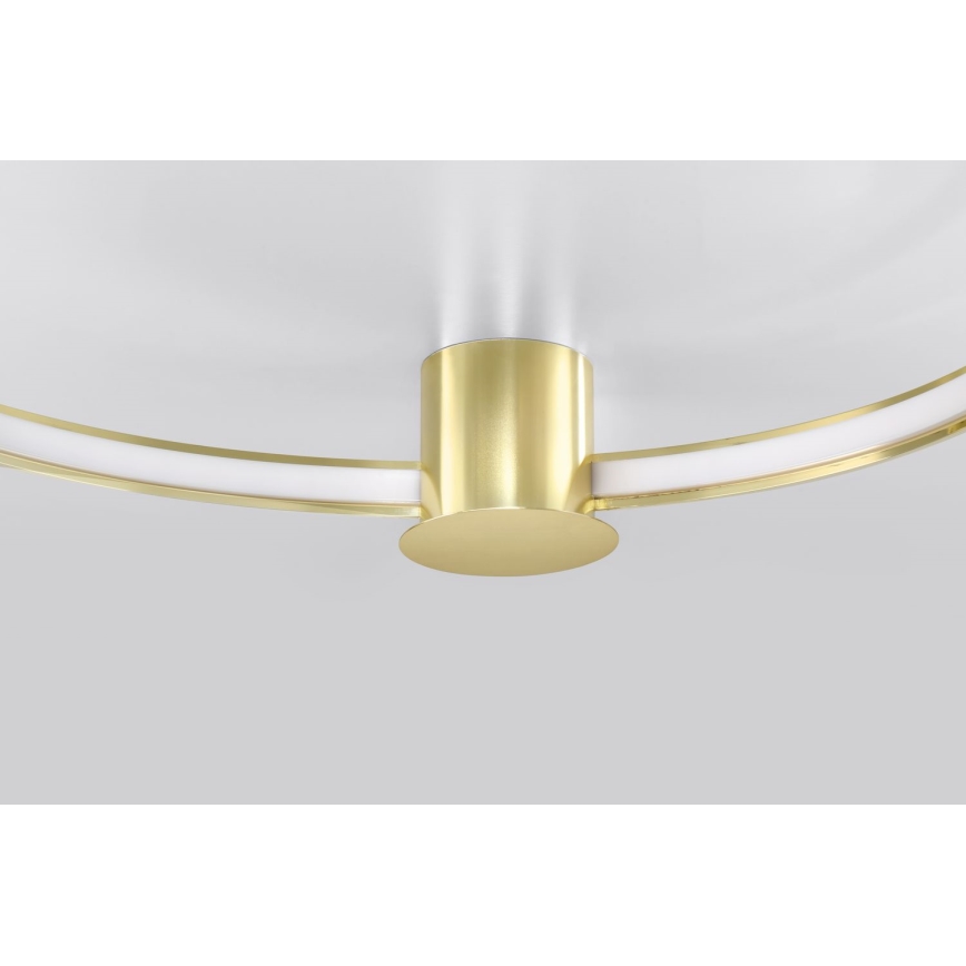 Thoro TH.252 - LED-kattovalaisin RIO LED/50W/230V CRI 90 3000K halkaisija 78 cm kulta