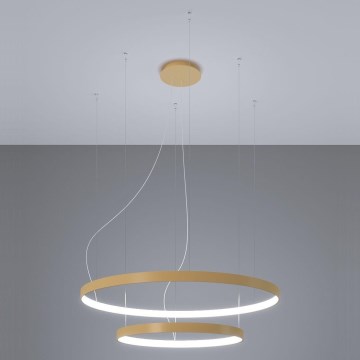 Thoro TH.268 - LED-riippuvalaisin johdolla RIO LED/80W/230V CRI 95 4000K kulta