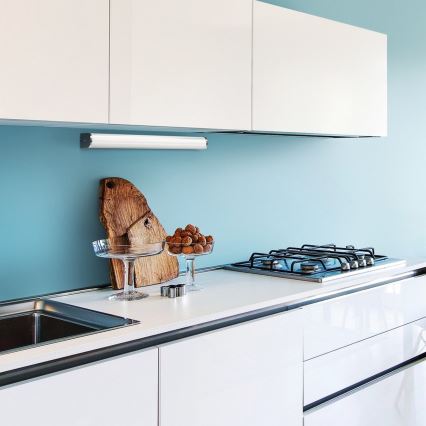 Top Light - LED-peilivalon ARIZONA LED/15W/230V IP44 kylpyhuoneeseen