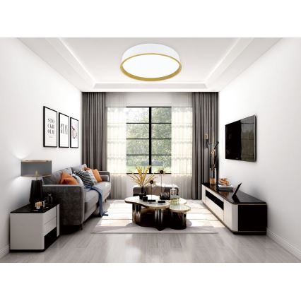 Top Light - Himmennettävä LED-kattovalaisin DEKOR LED/51W/230V halkaisija 50 cm 3000-6500K + kauko-ohjaus