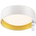 Top Light - Himmennettävä LED-kattovalaisin LED/24W/230V + kaukosäädin valkoinen