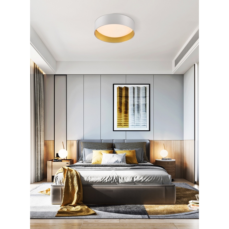 Top Valaistus - Himmennettävä LED-kattovalaisin IVONA 40B +kaukosäädin LED/24W/230V + kauko-ohjaus valkoinen