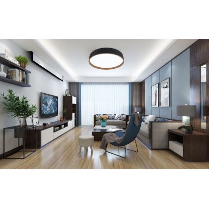 Top Light - Himmennettävä LED-kattovalaisin DEKOR LED/51W/230V halkaisija 40 cm 3000-6500K + kauko-ohjaus