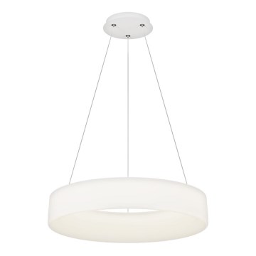 Top Light - LED-himmennettävä riippuvalaisin vaijerilla HALO LED/60W/230V 3000–6500K halkaisija 60 cm + kaukosäädin
