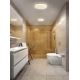 Top Light - LED-kattovalaisin kylpyhuoneeseen TWISTER LED/18W/230V IP44