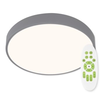 Top Light Metal 40S RC - himmennettävä LED-kattovalaisin LED/51W/230V harmaa + kaukosäädin