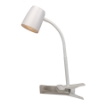 Top Light Mia KL B - LED-lamppu kiinnikkeellä LED/4,5W/230V