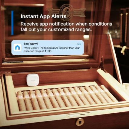 TP-Link - Älykäs lämpötila- ja kosteusanturi 1xCR2450