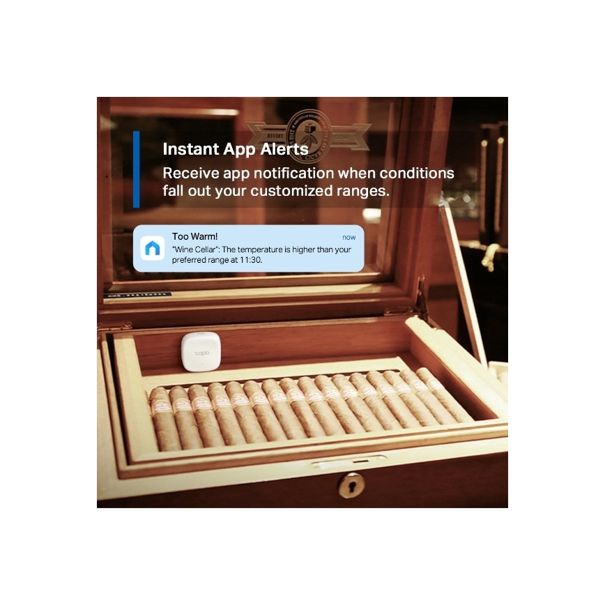 TP-Link - Älykäs lämpötila- ja kosteusanturi 1xCR2450