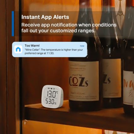 TP-Link - Älykäs lämpötila- ja kosteusmittari 2xAAA