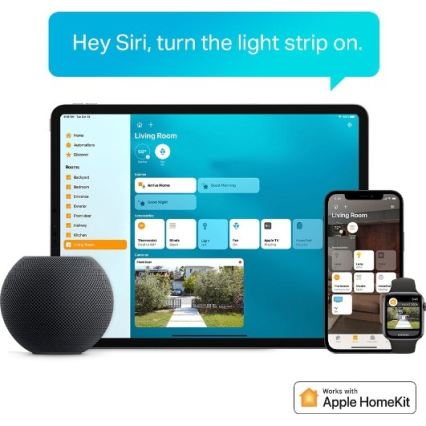 TP-Link - LED RGBW Himennettävä nauha 5 m LED/13W/230V Wi-Fi
