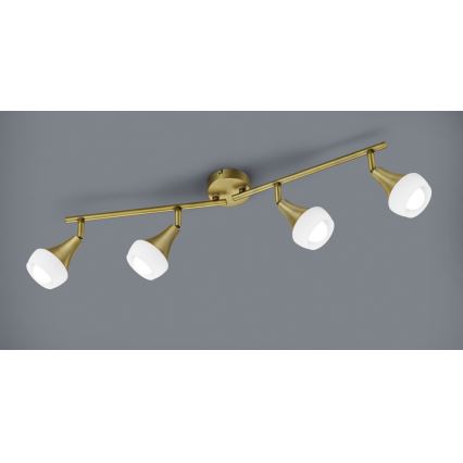 TRIO - Kohdevalo TRUMPET 4xE14/40W/230V