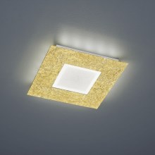 Trio - LED-kattovalaisin CHIROS LED/12W/230V + LED/3,5W