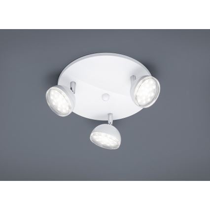 Trio - LED-kohdevalaisin BOLOU 3xLED/3,8W/230V