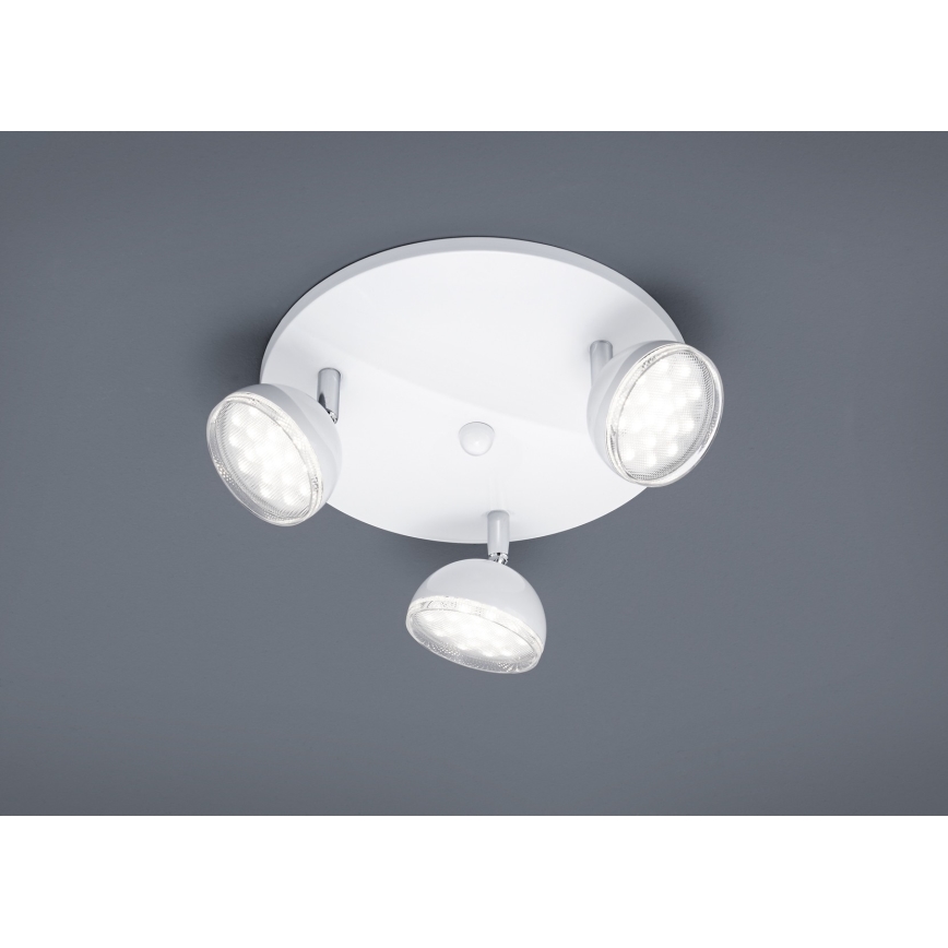 Trio - LED-kohdevalaisin BOLOU 3xLED/3,8W/230V