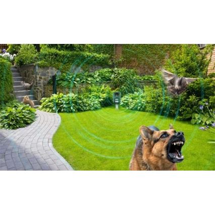 Tuholaistorjunta 6V IPX4