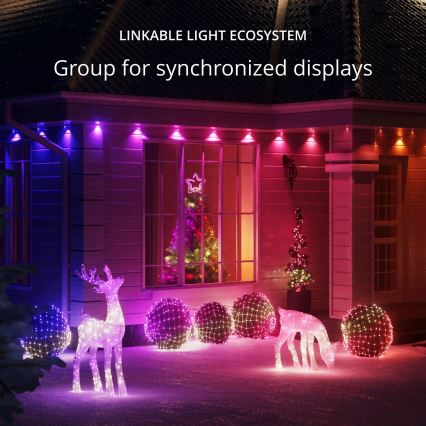 Twinkly - LED RGBW Himmennettävä ulko Joulu poro REINGEERS 160xLED IP44 Wi-Fi