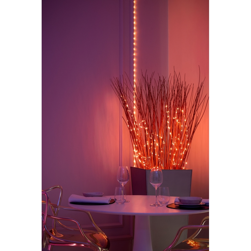Twinkly - himmennettävä RGB-LED-valoketju DOTS, 60 LEDiä, 7 m, USB, Wi-Fi