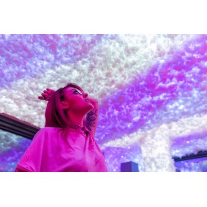 Twinkly - LED RGBW himmennettävä ulkokäyttöön tarkoitettu joulukoristevalosarja STRINGS 250xLED 23,5m IP44 Wi-Fi